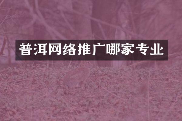 普洱网络推广哪家专业