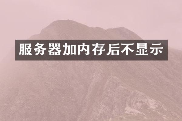 服务器加内存后不显示