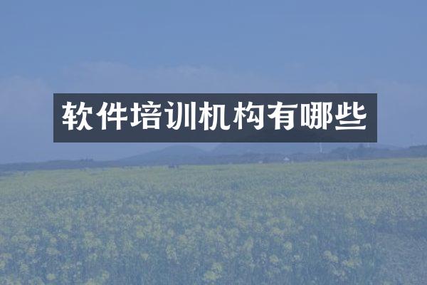 软件培训机构有哪些