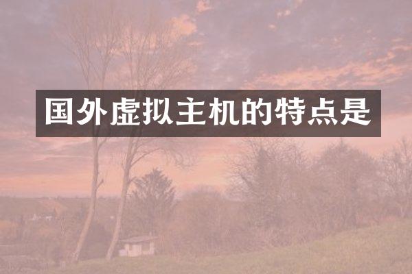 国外虚拟主机的特点是