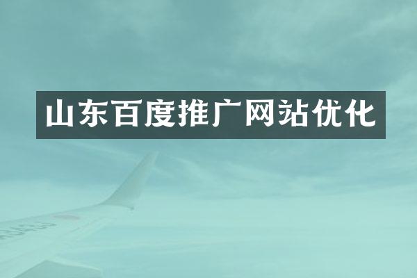 山东百度推广网站优化