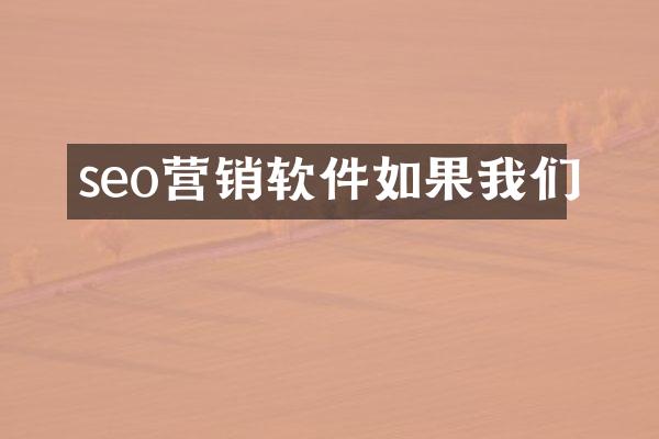 seo营销软件如果我们