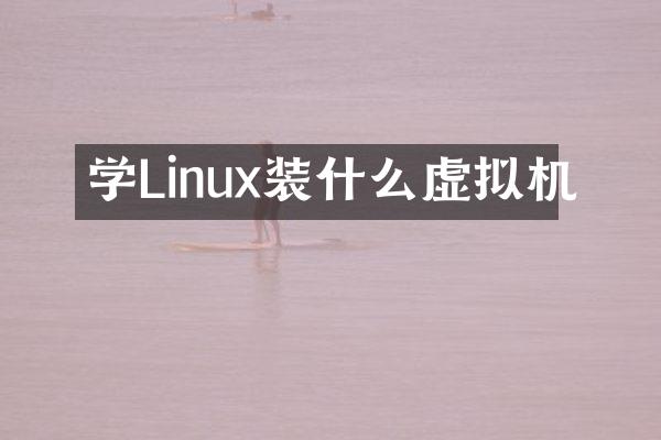 学Linux装什么虚拟机