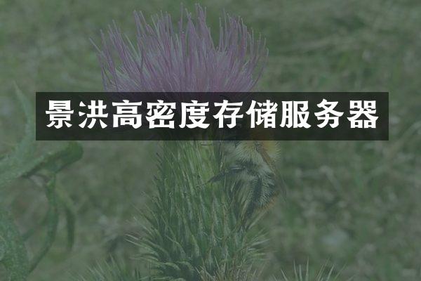 景洪高密度存储服务器