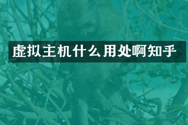 虚拟主机什么用处啊知乎