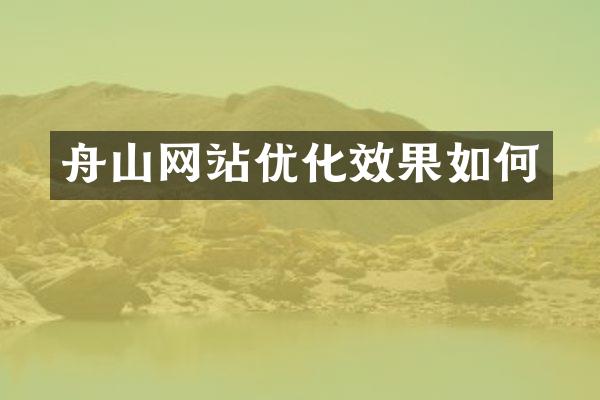 舟山网站优化效果如何