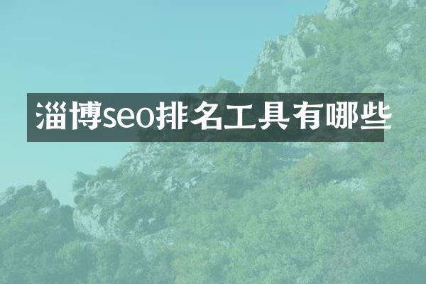 淄博seo排名工具有哪些