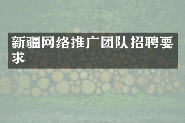 新疆网络推广团队招聘要求