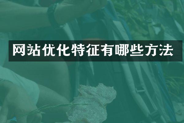 网站优化特征有哪些方法
