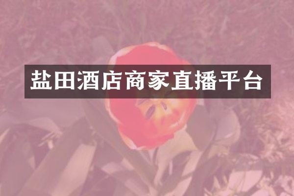 盐田酒店商家直播平台
