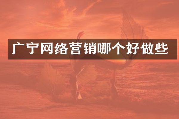 广宁网络营销哪个好做些