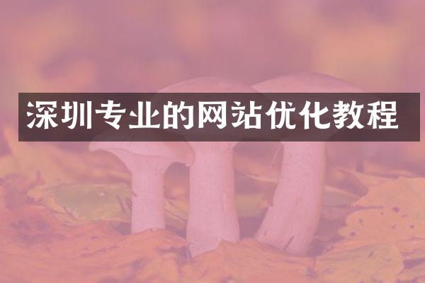 深圳专业的网站优化教程