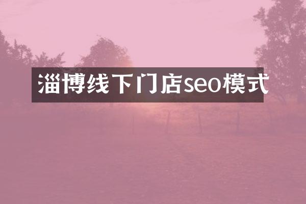 淄博线下门店seo模式