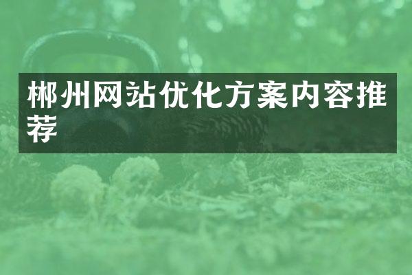 郴州网站优化方案内容推荐