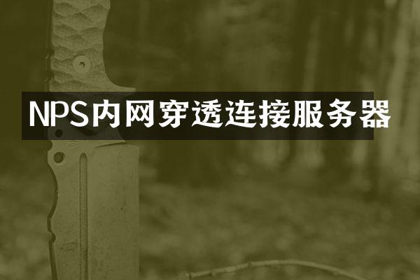 NPS内网穿透连接服务器