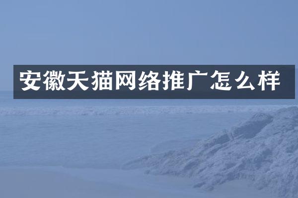 安徽天猫网络推广怎么样