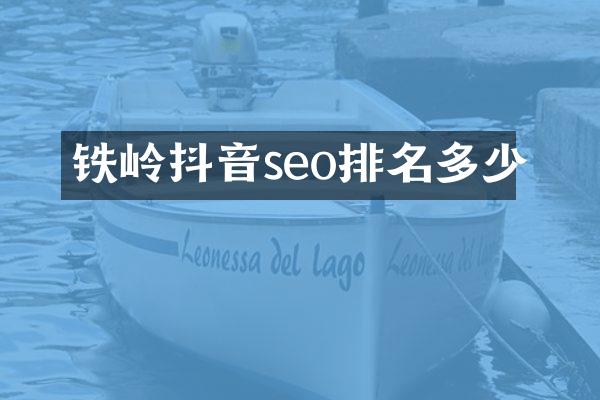 铁岭抖音seo排名多少