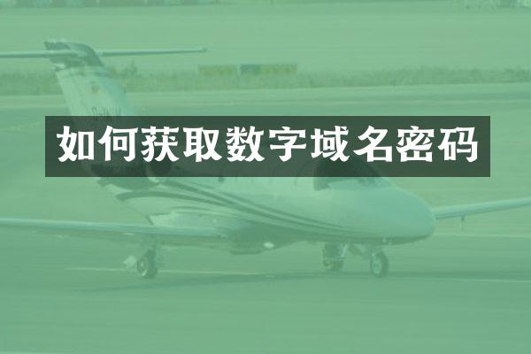 如何获取数字域名密码