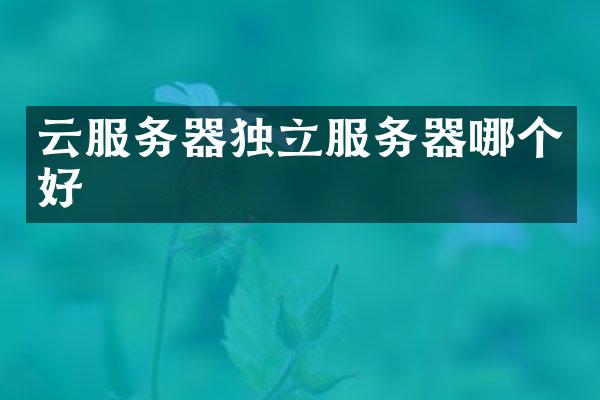 云服务器独立服务器哪个好