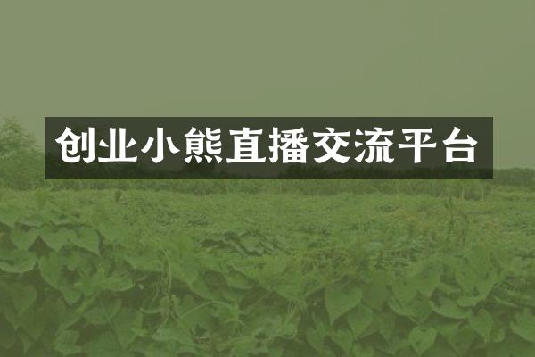 创业小熊直播交流平台