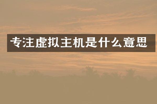 专注虚拟主机是什么意思