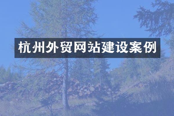 杭州外贸网站建设案例