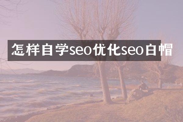 怎样自学seo优化seo白帽