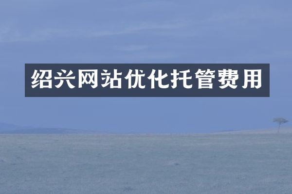 绍兴网站优化托管费用