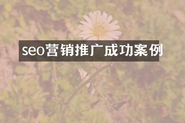 seo营销推广成功案例