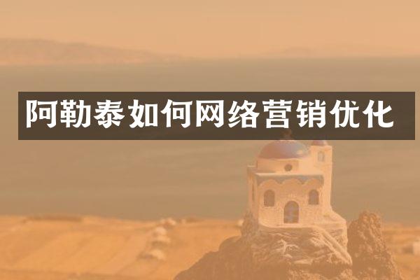阿勒泰如何网络营销优化