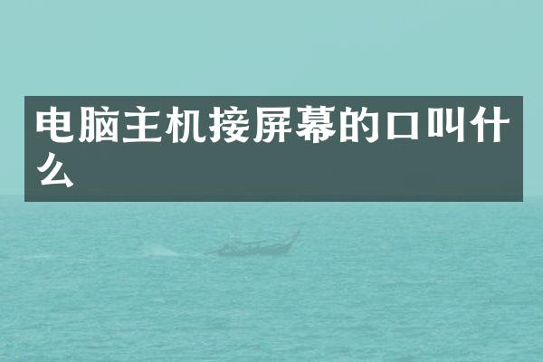 电脑主机接屏幕的口叫什么