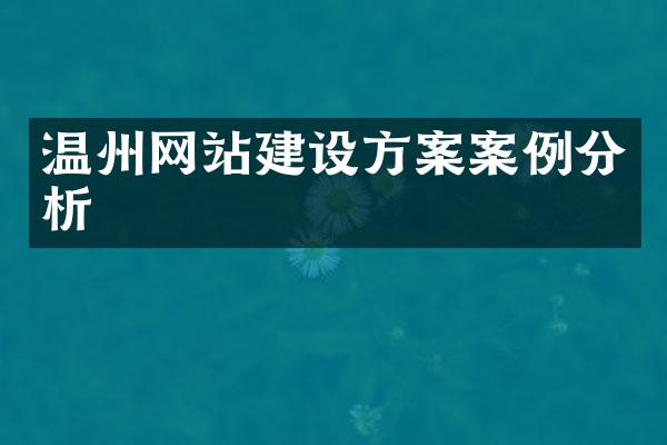 温州网站建设方案案例分析