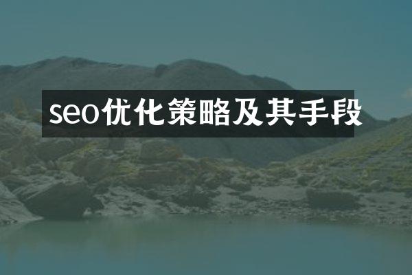 seo优化策略及其手段