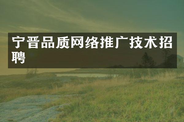 宁晋品质网络推广技术招聘