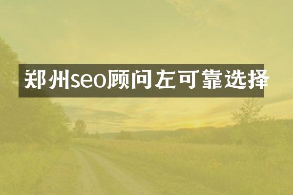 郑州seo顾问左可靠选择