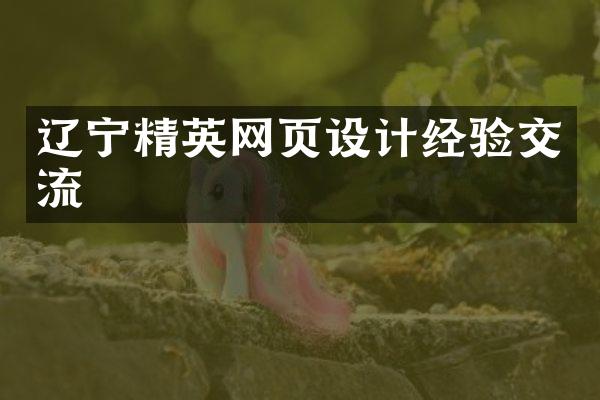 辽宁精英网页设计经验交流