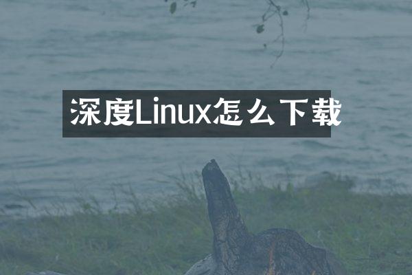 深度Linux怎么下载