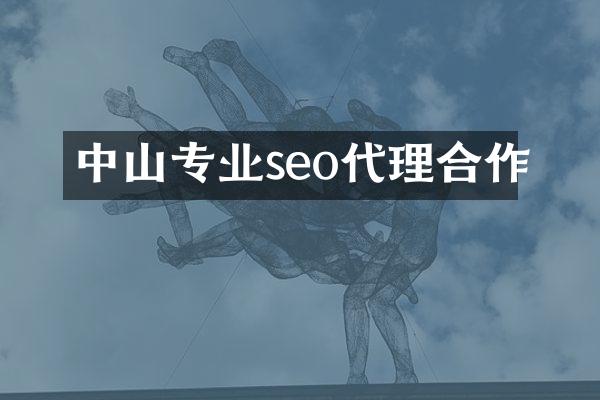 中山专业seo代理合作
