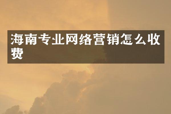 海南专业网络营销怎么收费