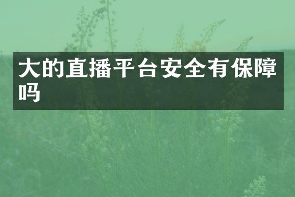 大的直播平台安全有保障吗