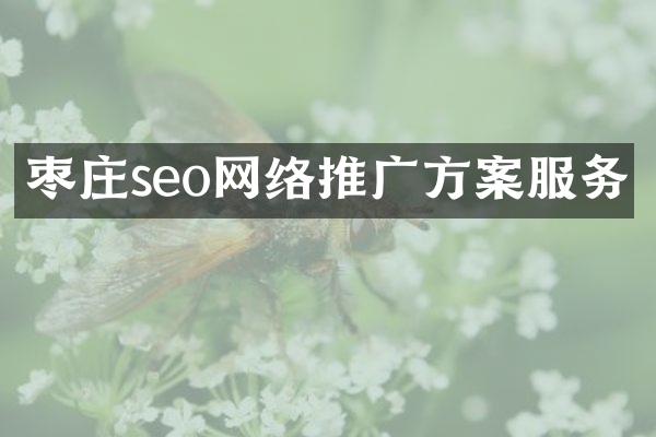 枣庄seo网络推广方案服务
