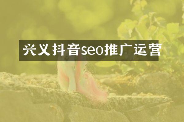 兴义抖音seo推广运营