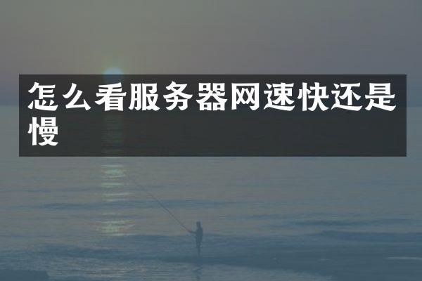 怎么看服务器网速快还是慢