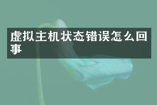 虚拟主机状态错误怎么回事