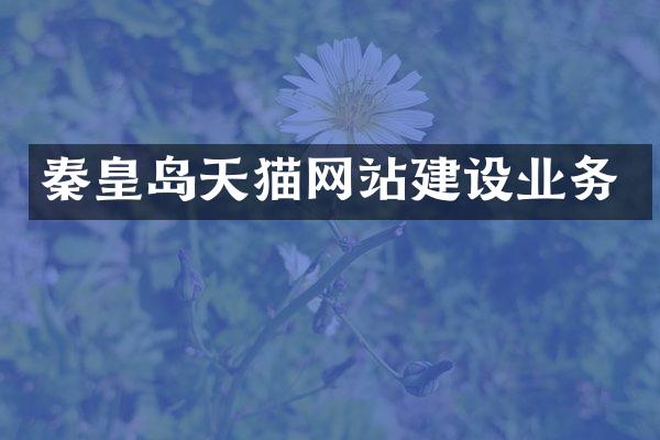 秦皇岛天猫网站建设业务