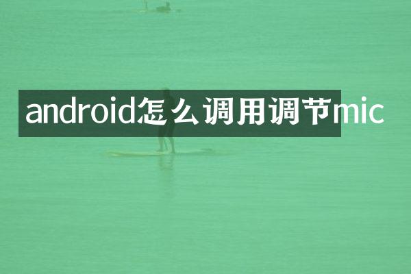 android怎么调用调节mic