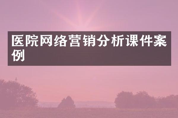 医院网络营销分析课件案例