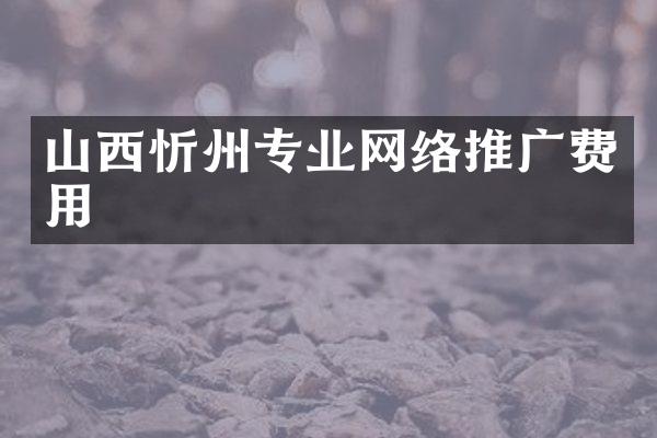 山西忻州专业网络推广费用
