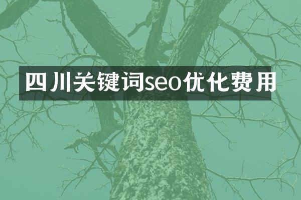 四川关键词seo优化费用