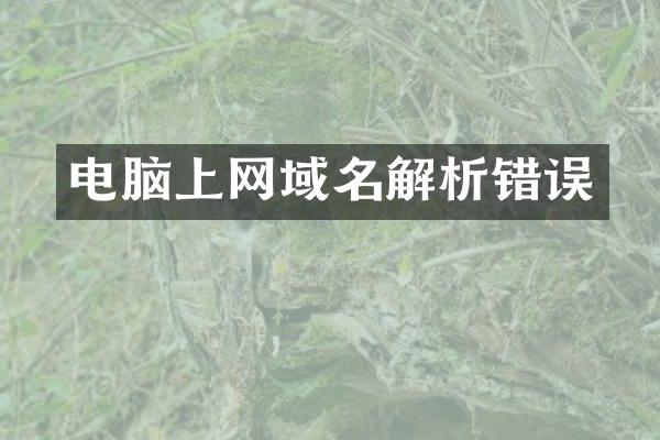 电脑上网域名解析错误